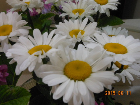 DSCN1839