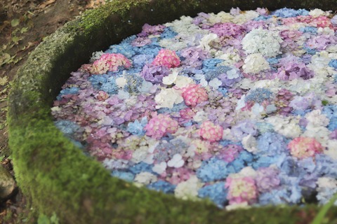 63B61CE7-4FA6-4CBD-B058-389A14D5F6E6