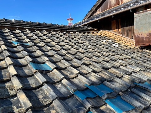 B0B262D8-2BE3-4CC8-B27C-A4F6E62BCFC1