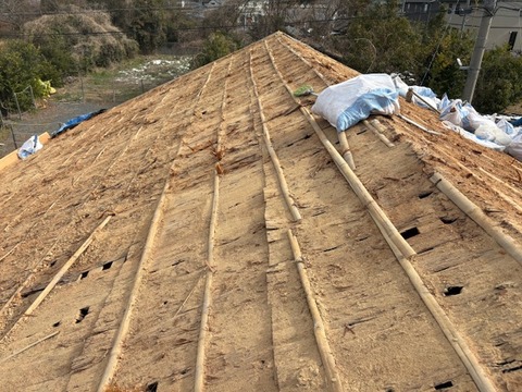 333BD32C-60C8-404D-A8CA-DD20363D318F