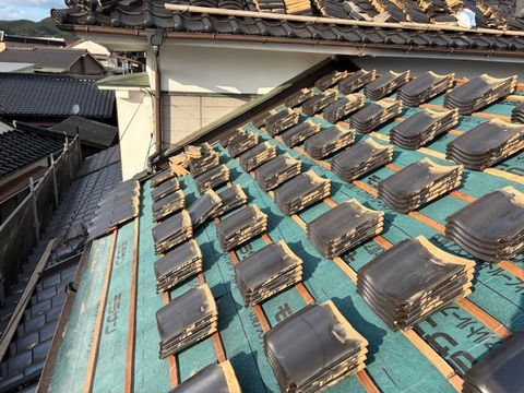 08E7F03A-4D7A-4D2A-97F5-D999038E3AED