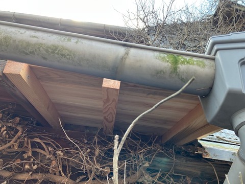 F8FF1771-6BA2-4AD7-ACE3-AE3D083E1D51