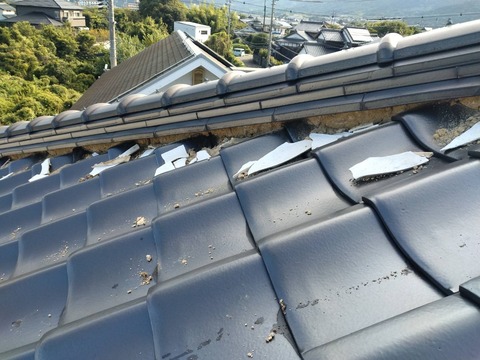 A2B23D44-2518-4A89-9907-41FDB7332D89