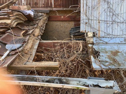 8D0F22CC-1852-4557-81FF-0A6582AE6CAA