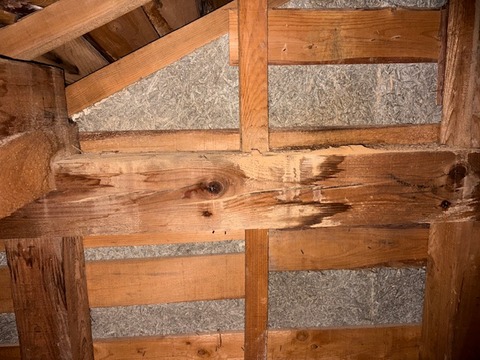 8FEC6C84-7E14-43B8-810A-E8C83C0B7AA5