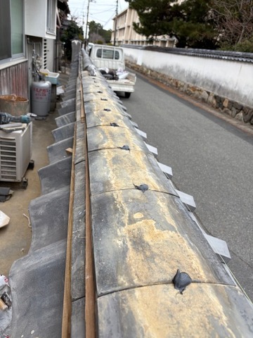 23309894-DA12-445E-8587-A4423FA670C7