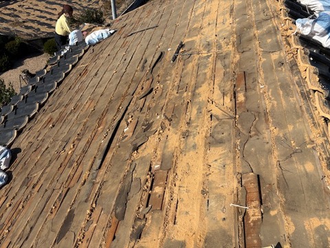 1518B93F-97F9-4F79-A130-0927068EA459