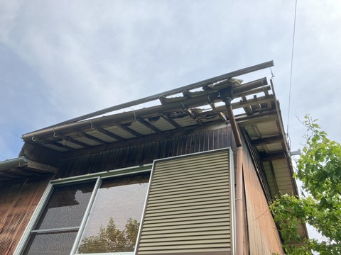 IMG_7871_1747105333723