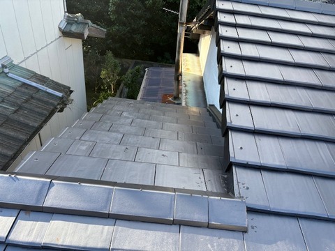 AF02A043-9EFB-4712-BB4B-E10AC48FB8EF