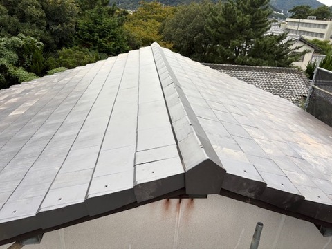 FE1EF183-DFA7-4D4D-BA44-E695F1E02802