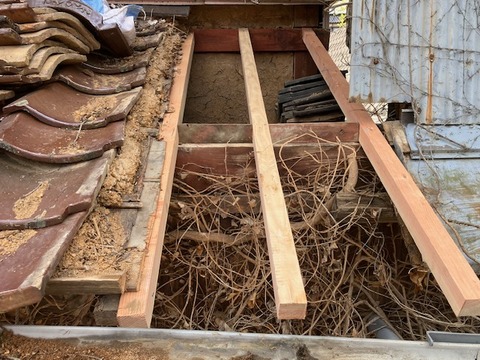 D98D1957-47A1-407C-99C2-2DF9BBE6ECDA