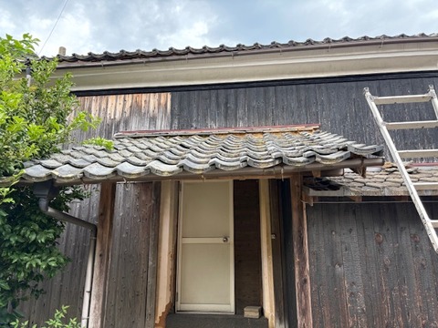 F91AC11B-CA0E-4E6F-8B77-4F2932122688