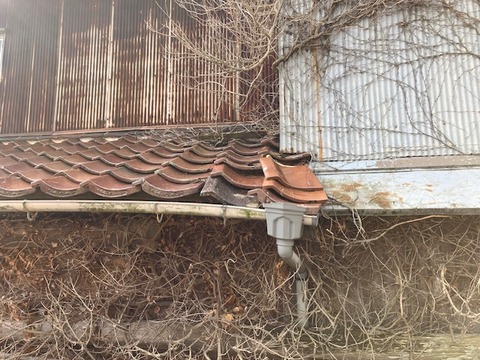 38584D5E-6018-4F3A-B32D-F35FF8027225