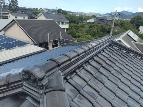 7D7C1327-1D39-46F2-B61D-EA41E361E50A