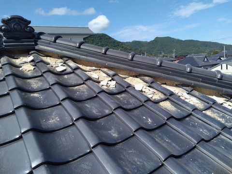 75F41D44-E61C-49C2-BE80-857AF1ECC79E