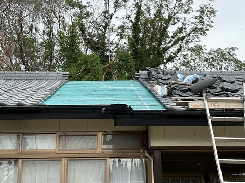 C5C9C6C4-64E3-4C22-A1E6-2F1DAC62D966