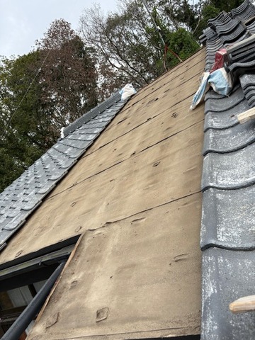 16095DC8-575A-4DE4-A82A-C92E25758C48