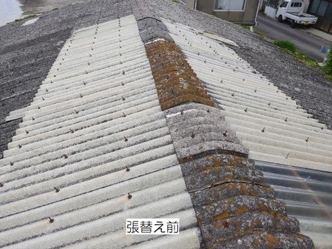 IMG00064