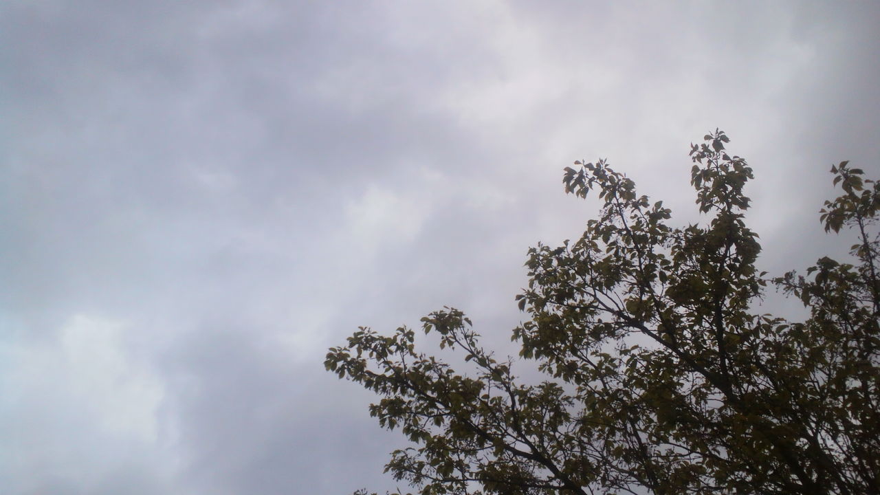 なんだか気分がすっきりしない時って ちいさな面倒 を後回していやしませんか 習慣が私を変える まいにちの小さな積み重ね