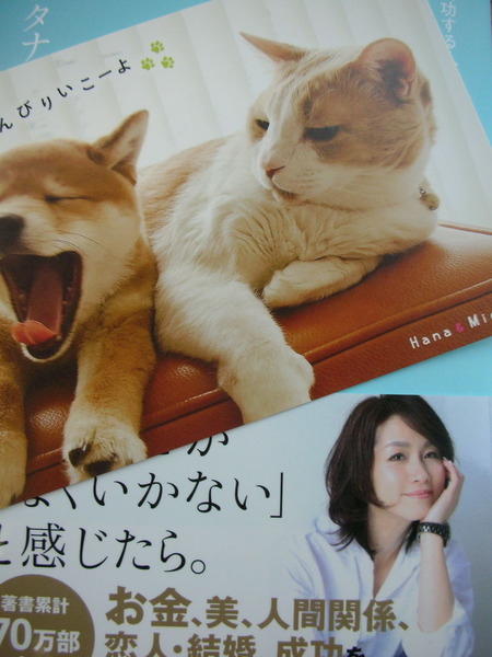 3ショット!