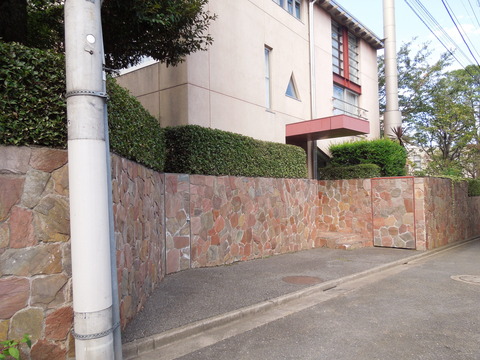 DSCN0800