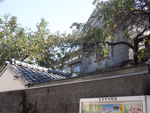 DSCN0868