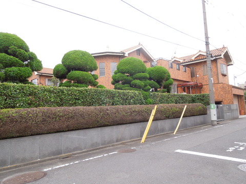 DSCN9961