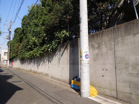 DSCN0848