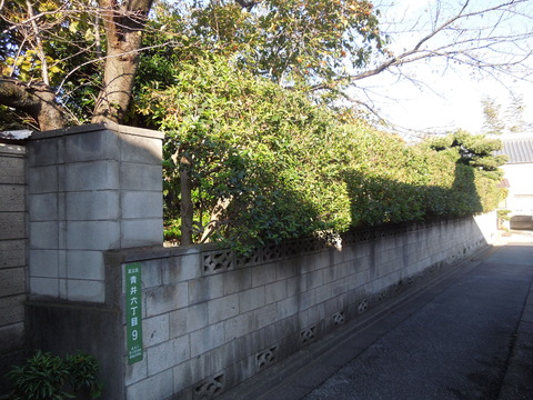 DSCN8441