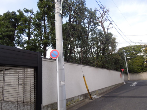 DSCN0619