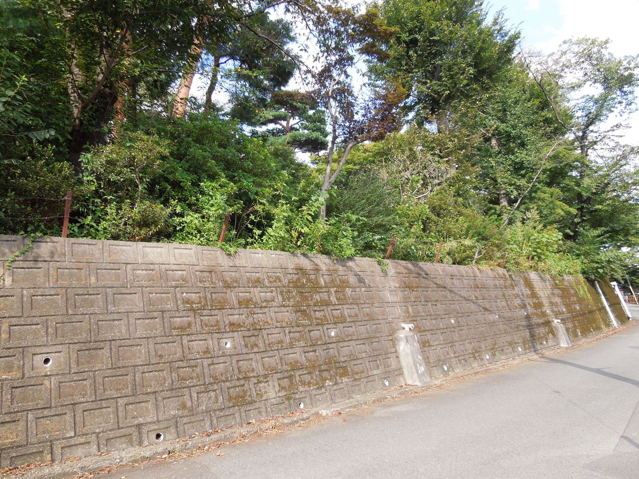 国分寺市南町に敷地が物凄く広い豪邸がありました 東京都内の豪邸探索ブログ