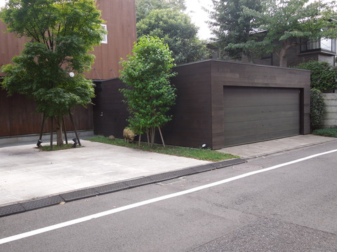 DSCN7607