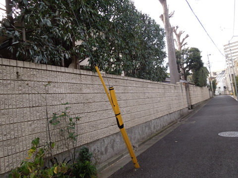 DSCN8849