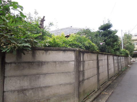 DSCN0779