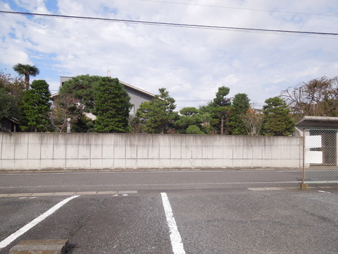 DSCN8425