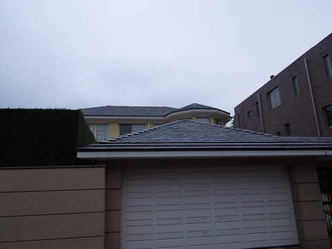DSCN0407
