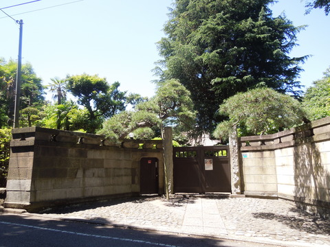 DSCN7037