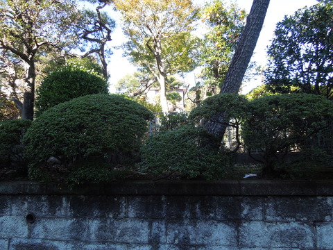 DSCN8730