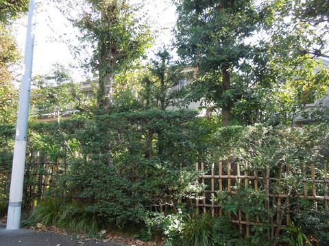 DSCN0870