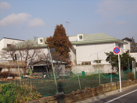 DSCN6450