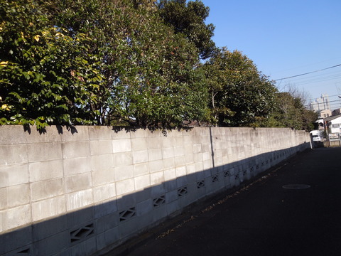 DSCN9010