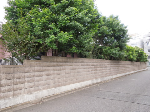 DSCN0750