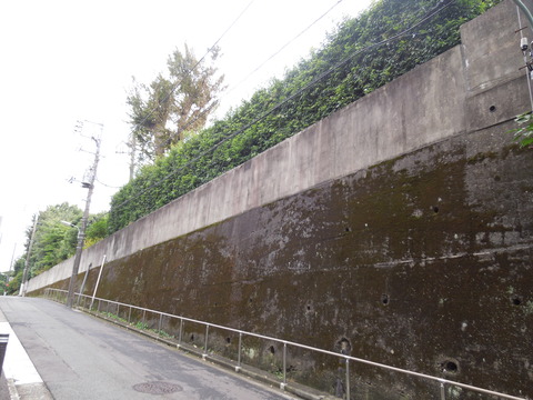 DSCN8074