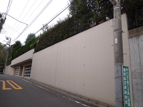 DSCN8755
