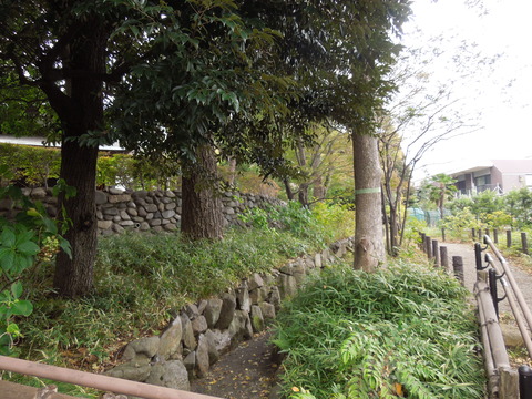 DSCN8081