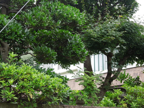 DSCN0210