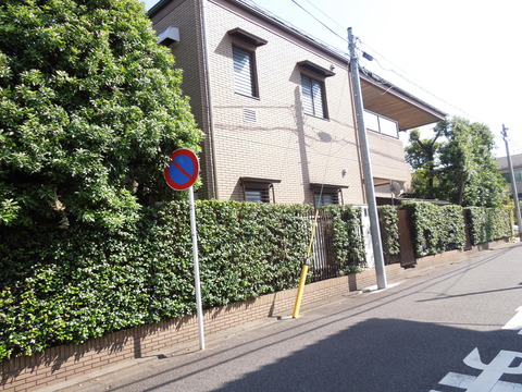 DSCN0854