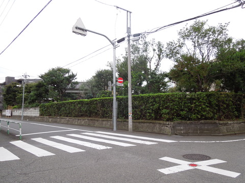 DSCN9800