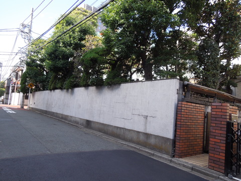 DSCN8778