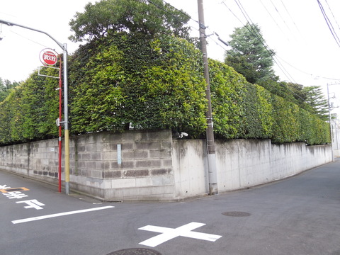 DSCN0139